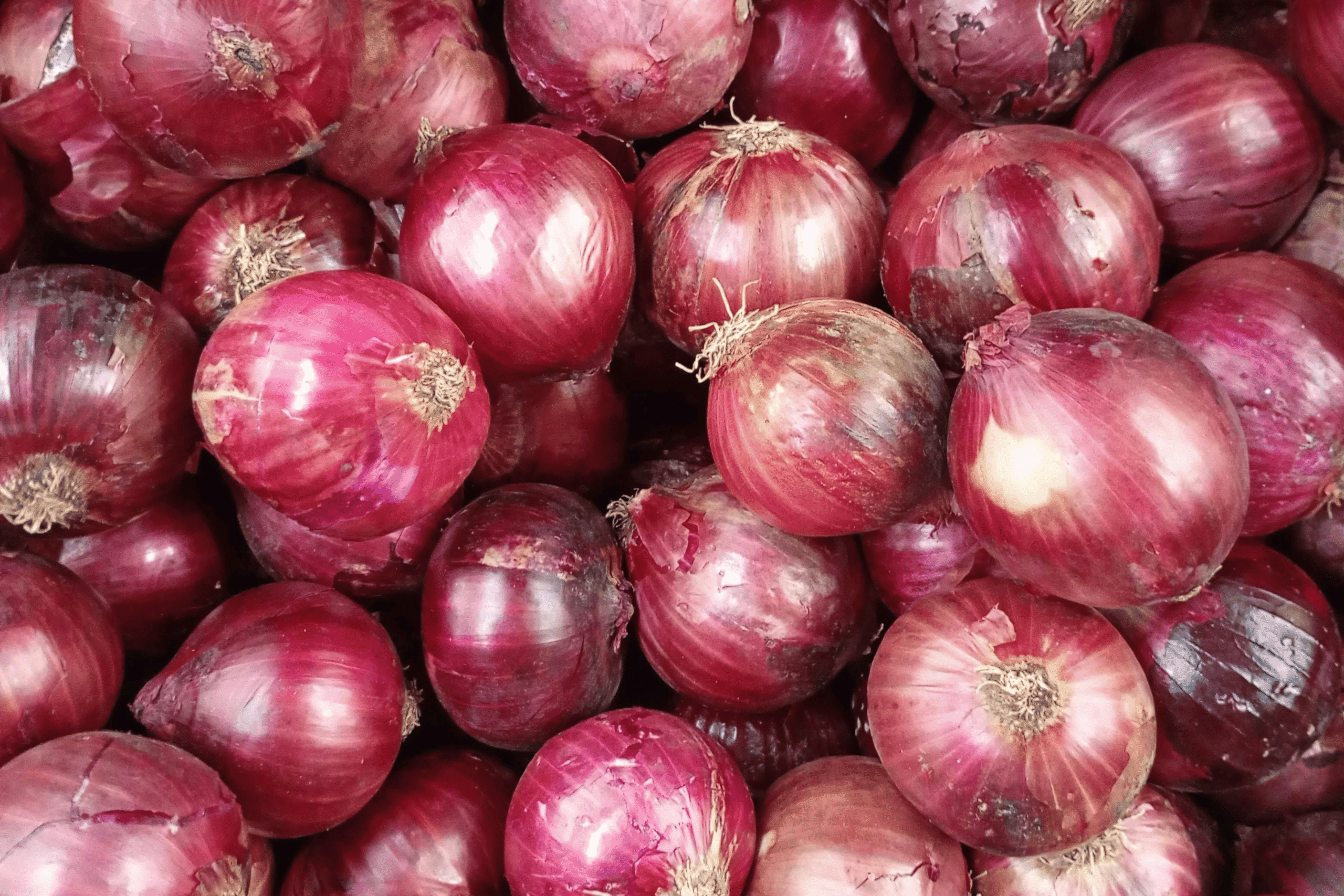 Onions